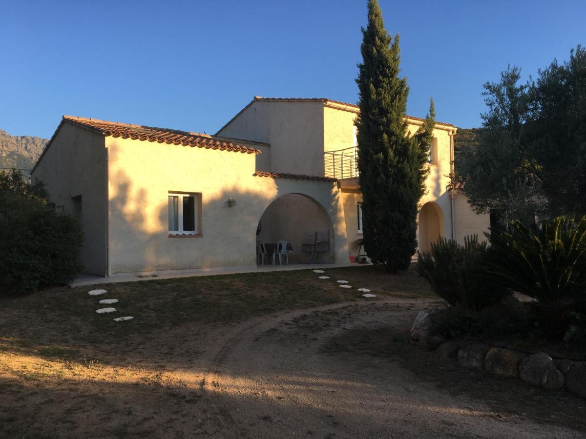 Studio Pinzali Avec Mezzanine Calenzana Bagian luar foto